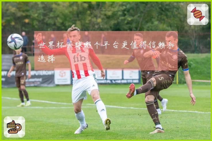 世界杯买球哪个平台更值得信赖和选择