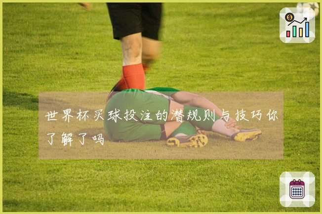 世界杯买球投注的潜规则与技巧你了解了吗