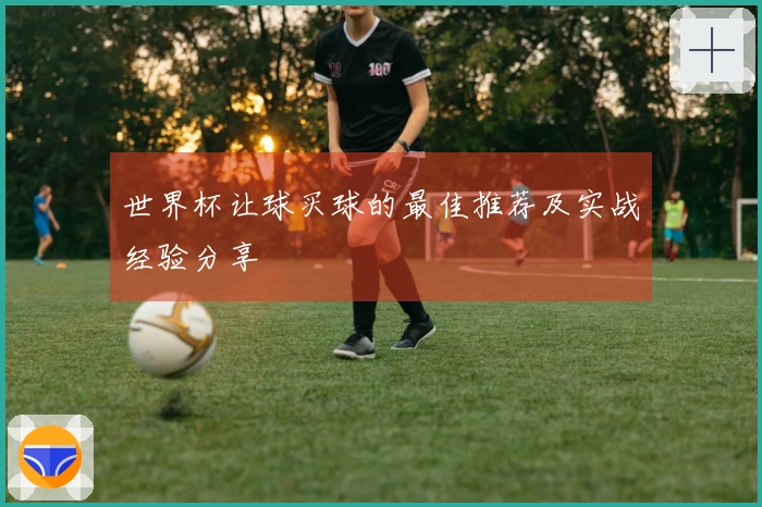 世界杯让球买球的最佳推荐及实战经验分享